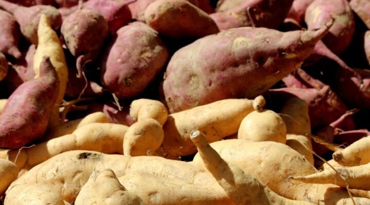 Batata Doce: Proteína ou Carboidrato